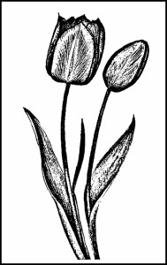 Spring coloring pages