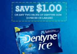 Dentyne Ice Coupon