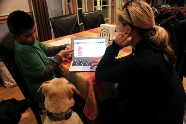 Purina 28 Day Challenge