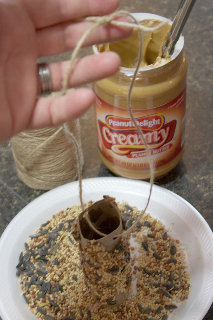 Bird Feeder Twine