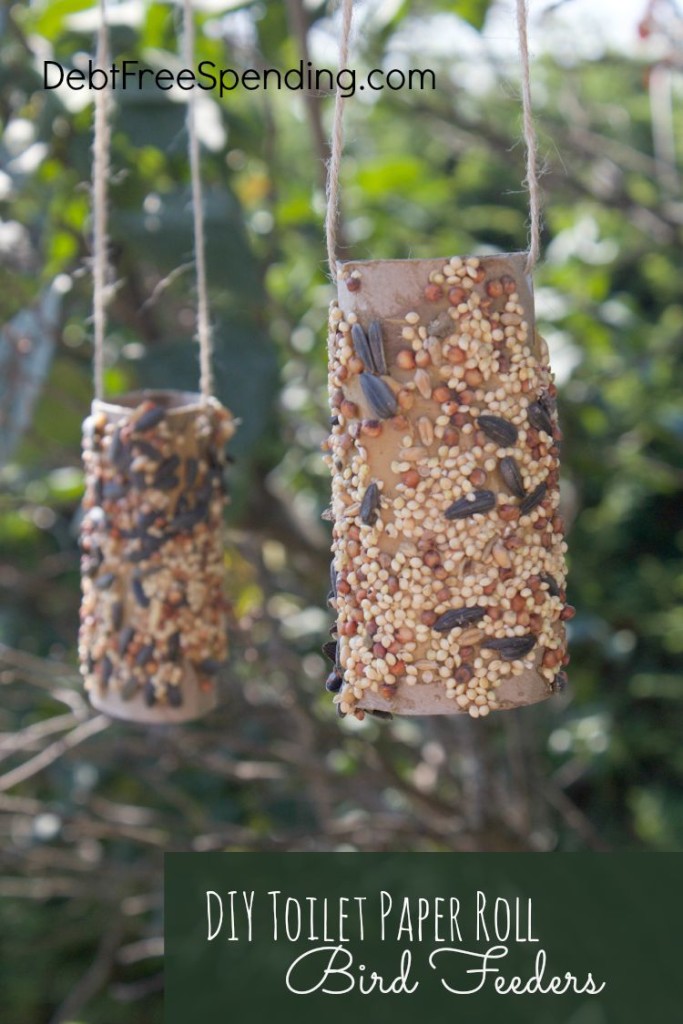 Toilet Paper Roll Bird Feeder