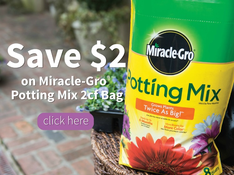 Miracle-Gro Potting Mix Deal Blogger Image