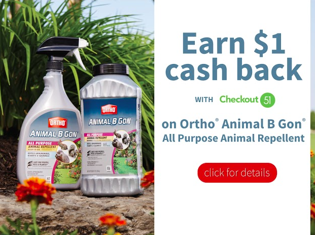 Screenshot 2016-04-28 12.04.04