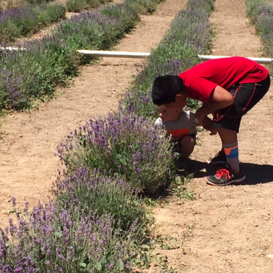 Screenshot 2016-07-03 11.28.50