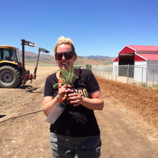 Young Living Planting Mona Utah