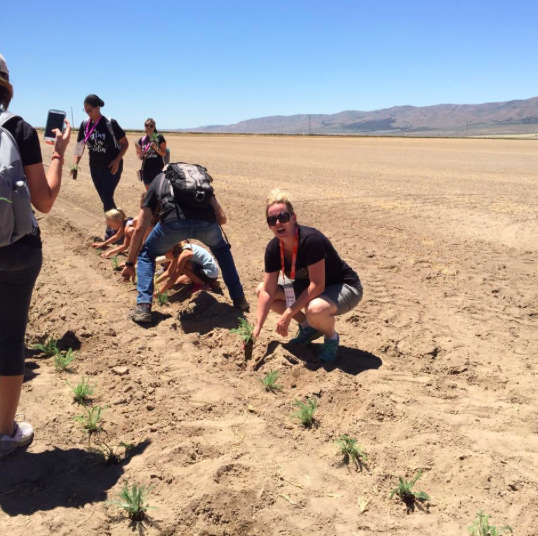 Planting Young Living