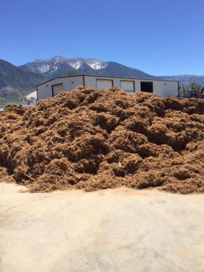 Screenshot 2016-07-03 12.11.04