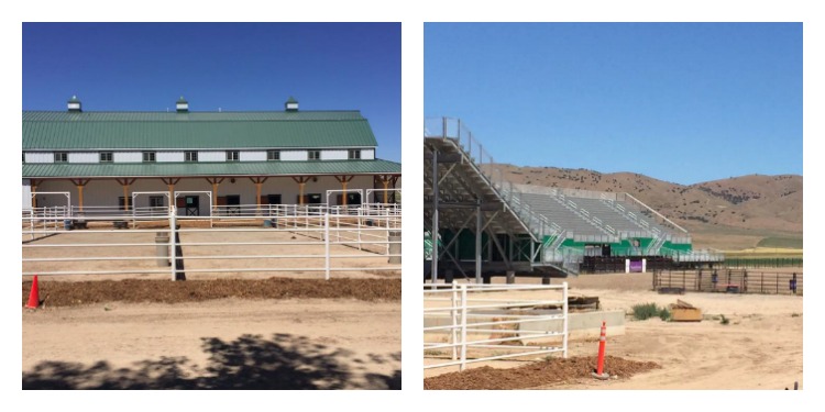 Young Living Stadium