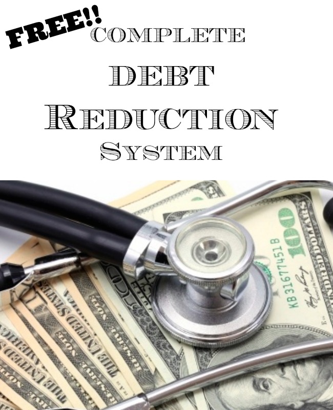 Debtfreespending Debt Reduction System Accountability Program Debt